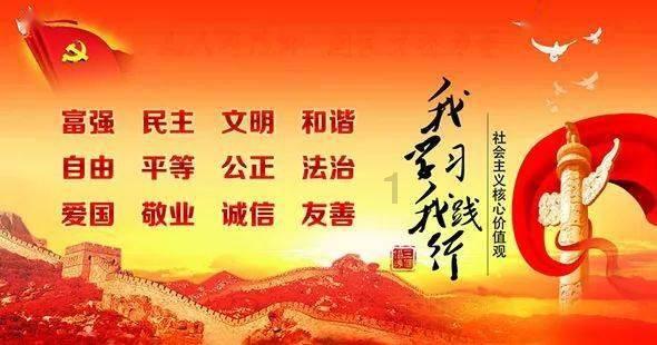 细胞分裂6