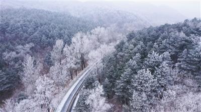 小马哥的爸爸在市立图书馆（打一四字成语）除了老马识途游戏画面